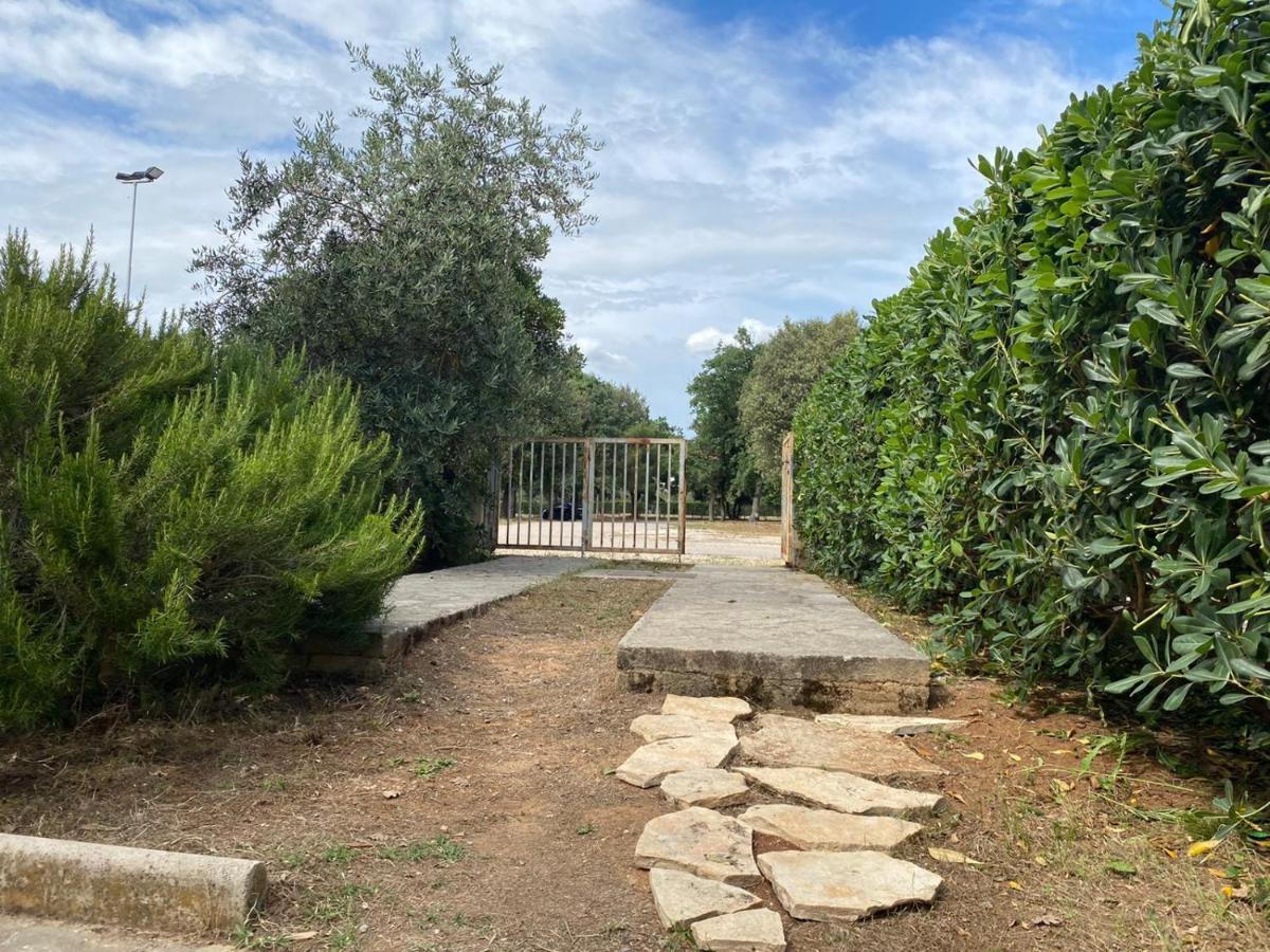 Apartment Soline Biograd Na Moru Εξωτερικό φωτογραφία